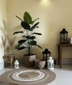 Plant pot - Image 2